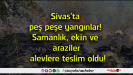 teslim