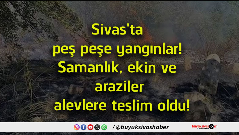 teslim