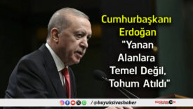 tohum