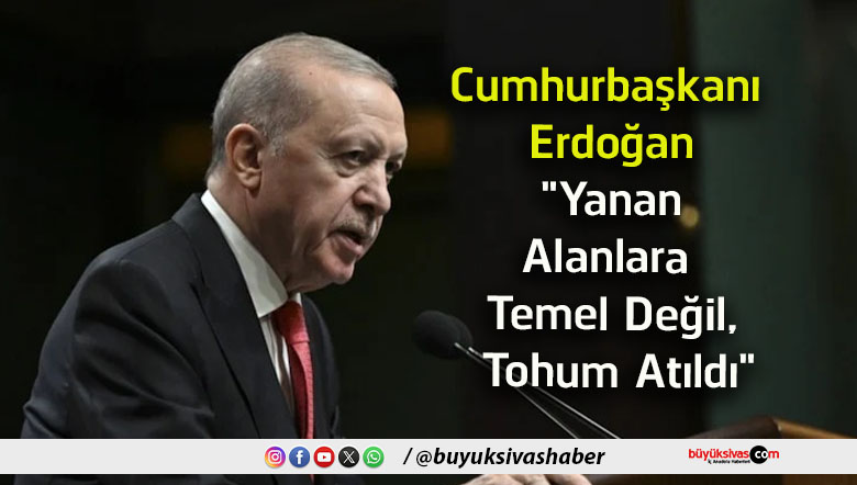 tohum