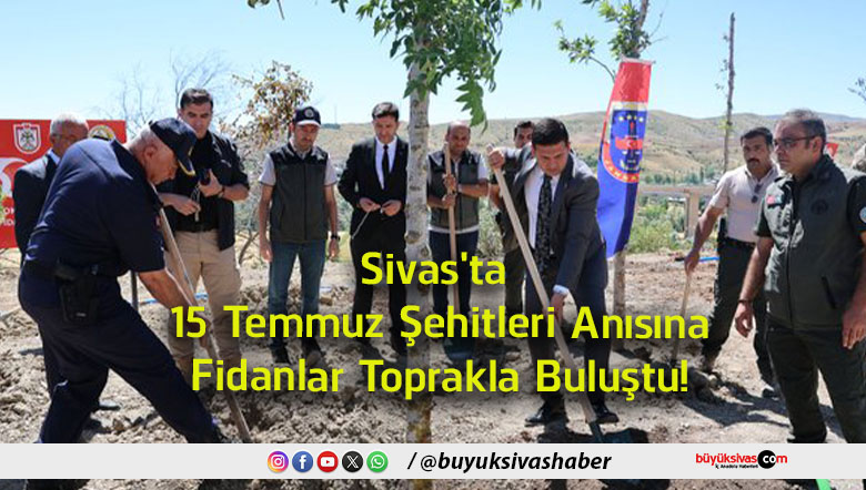 toprak
