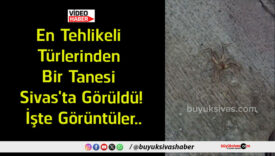 tür