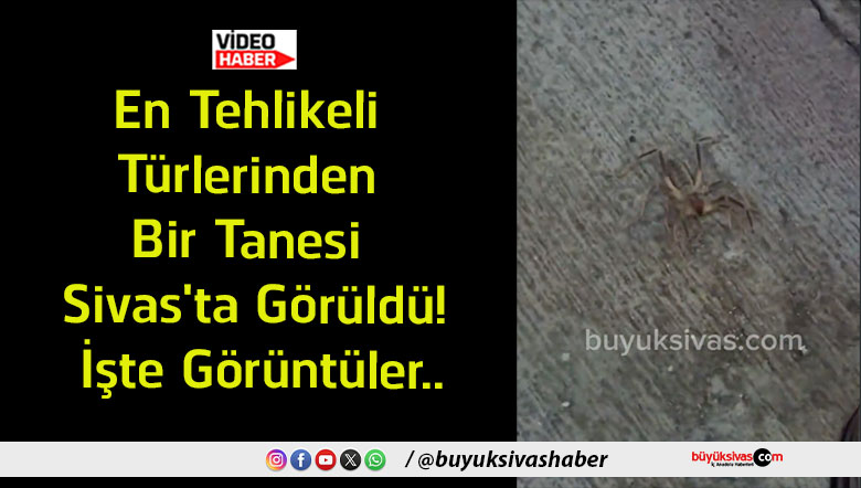 tür