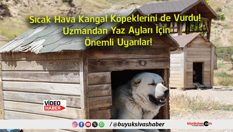 uyarılar