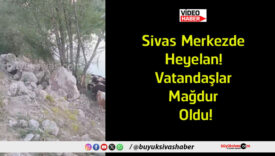 vatandaş