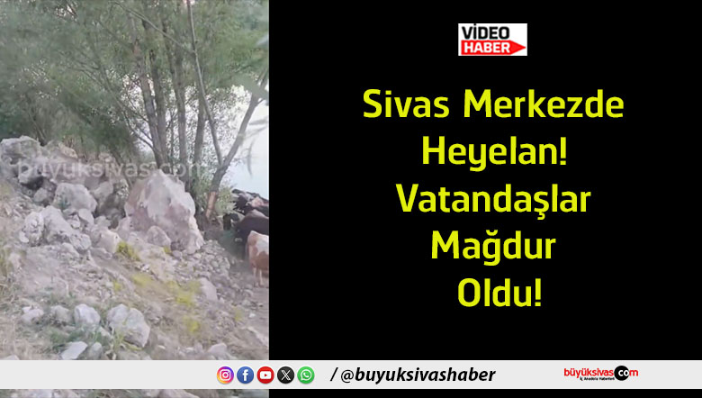 vatandaş