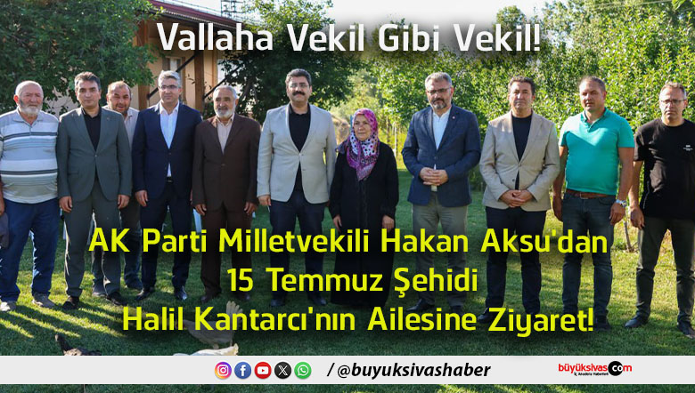 vekil