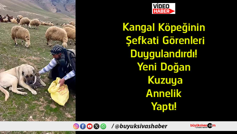 yaptı