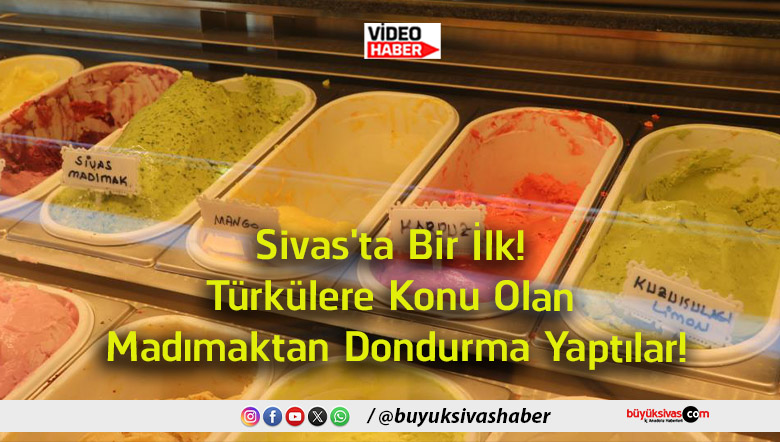 yaptılar