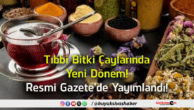 yayımlandı