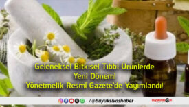 yayımlandı