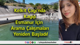 yeniden