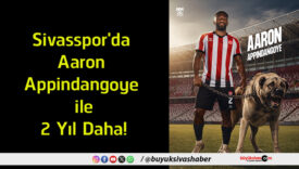 yıl