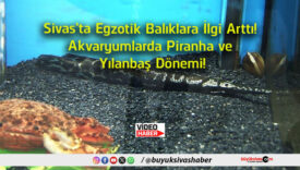 yılan