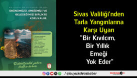 yok