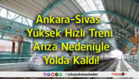 yolda