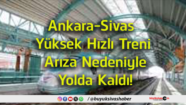 yolda