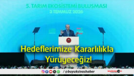 yürüyeceğiz