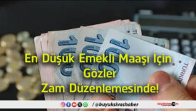 zam