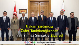 ziyaret