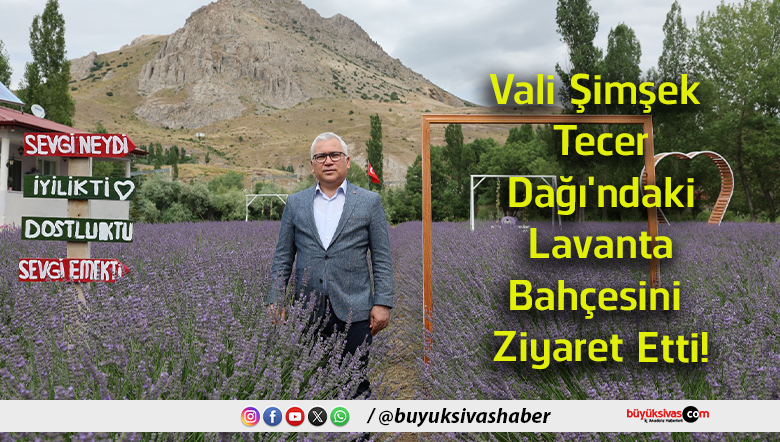ziyaret