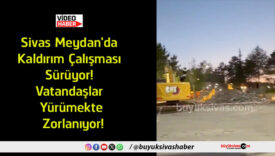 zorlanıyor