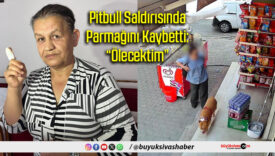 Pitbull Saldırısında