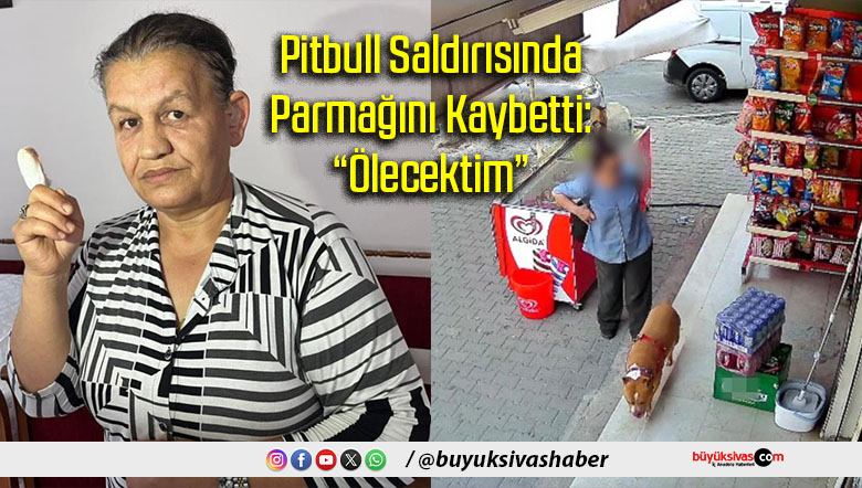 Pitbull Saldırısında