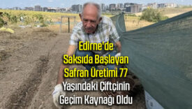 SAKSI