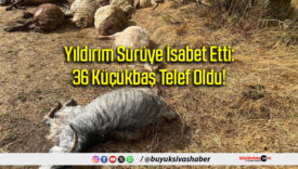 Yıldırım Sürüye İsabet Etti