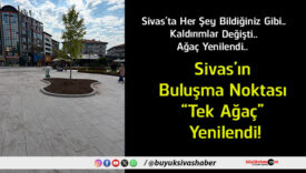 ağaç