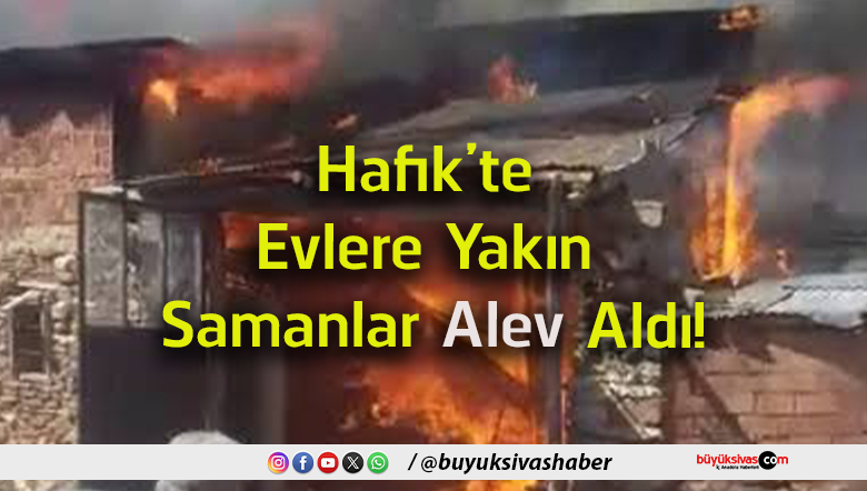 alev