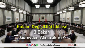 alınacak