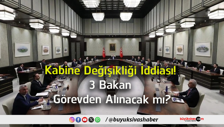 alınacak