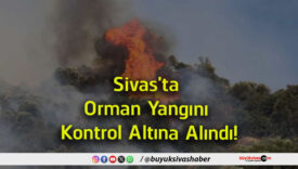 altına