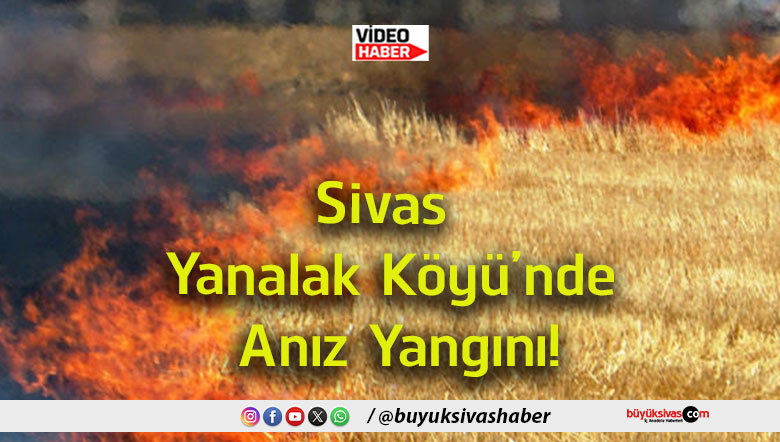 anız