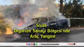 araç