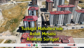 aralıksız