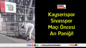 arı