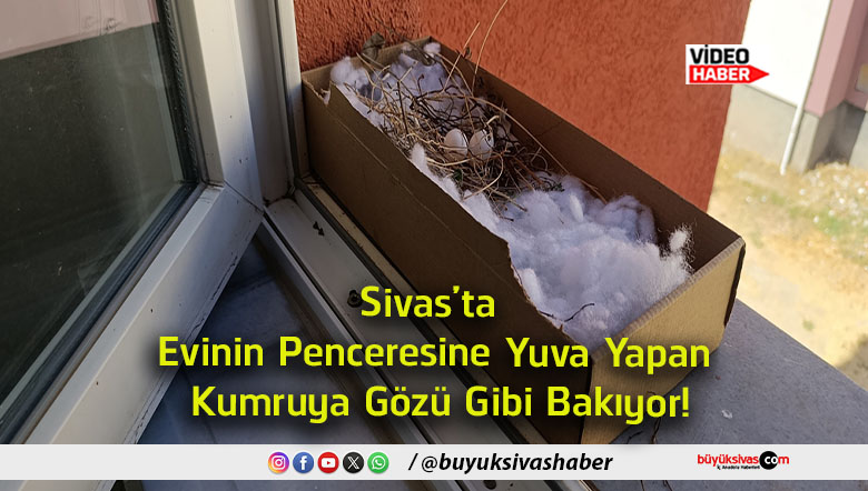 bakıyor