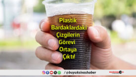 bardak