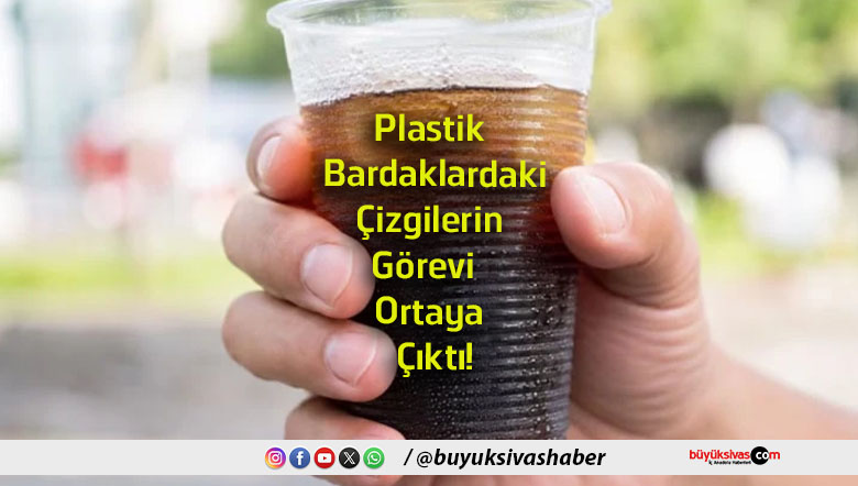 bardak