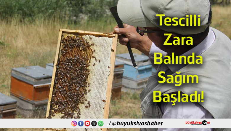 başladı