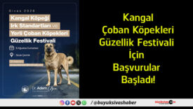 başvurular