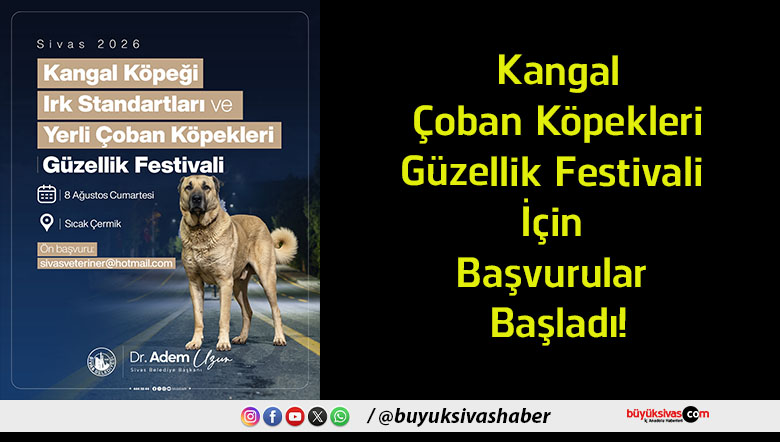 başvurular