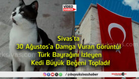 beğeni