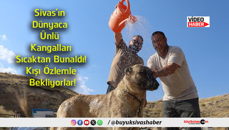 bekliyorlar