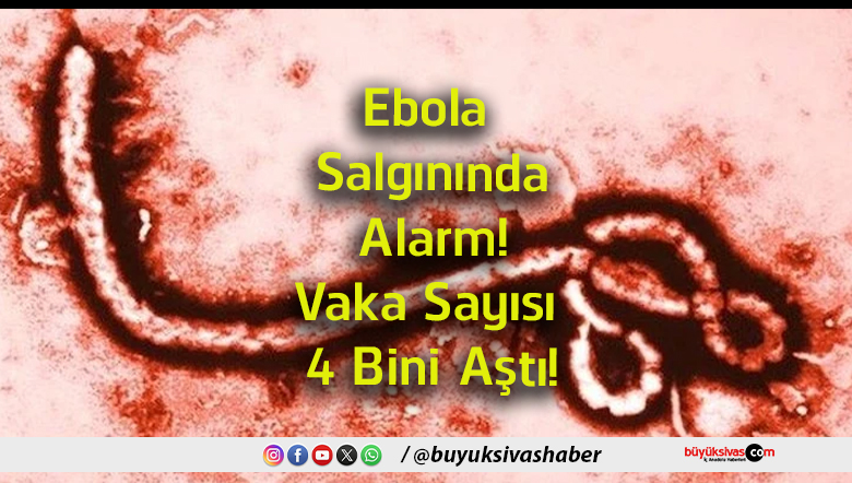 bini