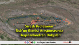 bulgular