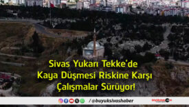 çalışmalar